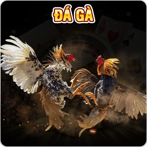 da-ga-77win
